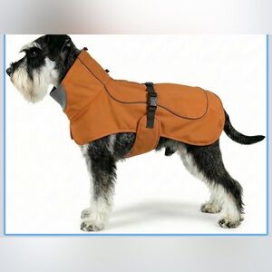 𝓒𝓸𝓩𝔂 𝓒𝓪𝓷𝓲𝓷𝓮 𝓡𝓮𝓭 𝓓𝓸𝓰 𝓒𝓸𝓪𝓣